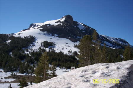 Yosemite National Park............East Side